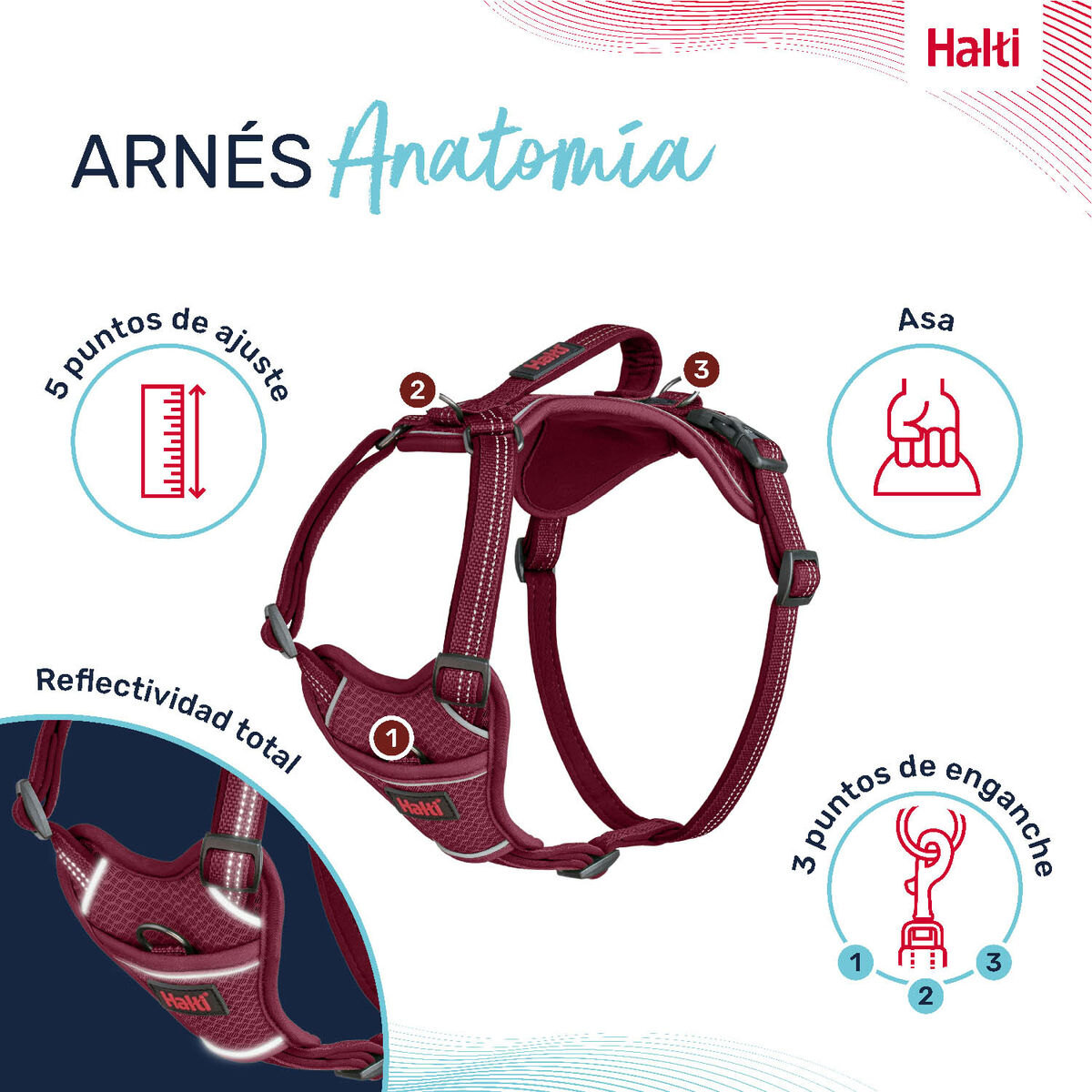 Dog Harness Company of Animals Burgundy M 35-55 cm