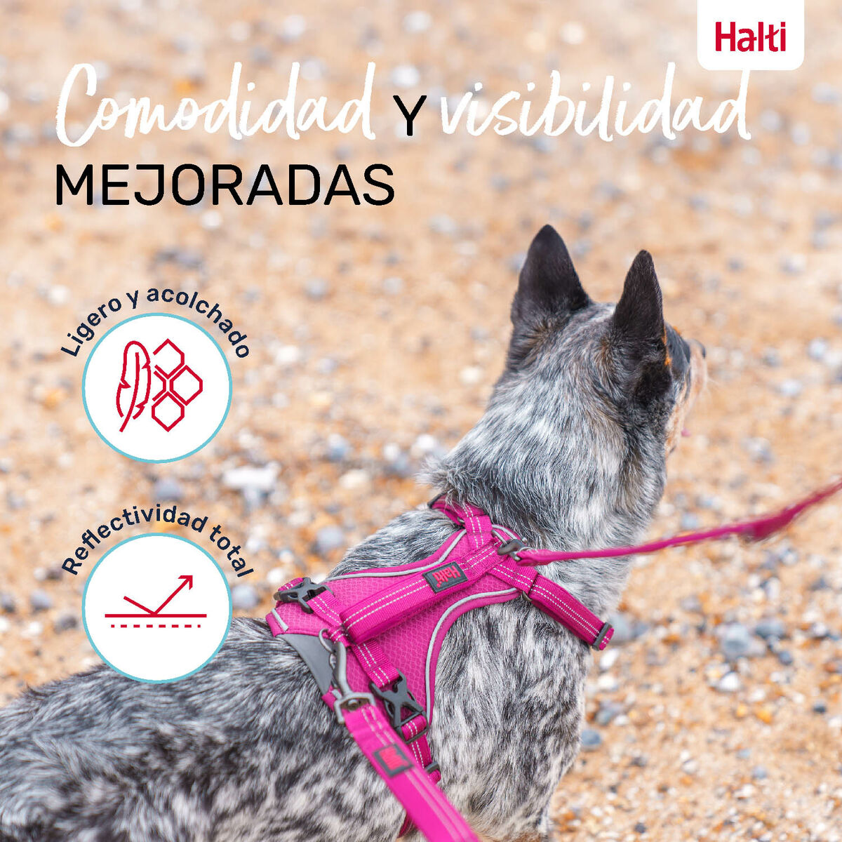 Dog Harness Company of Animals Burgundy M 35-55 cm