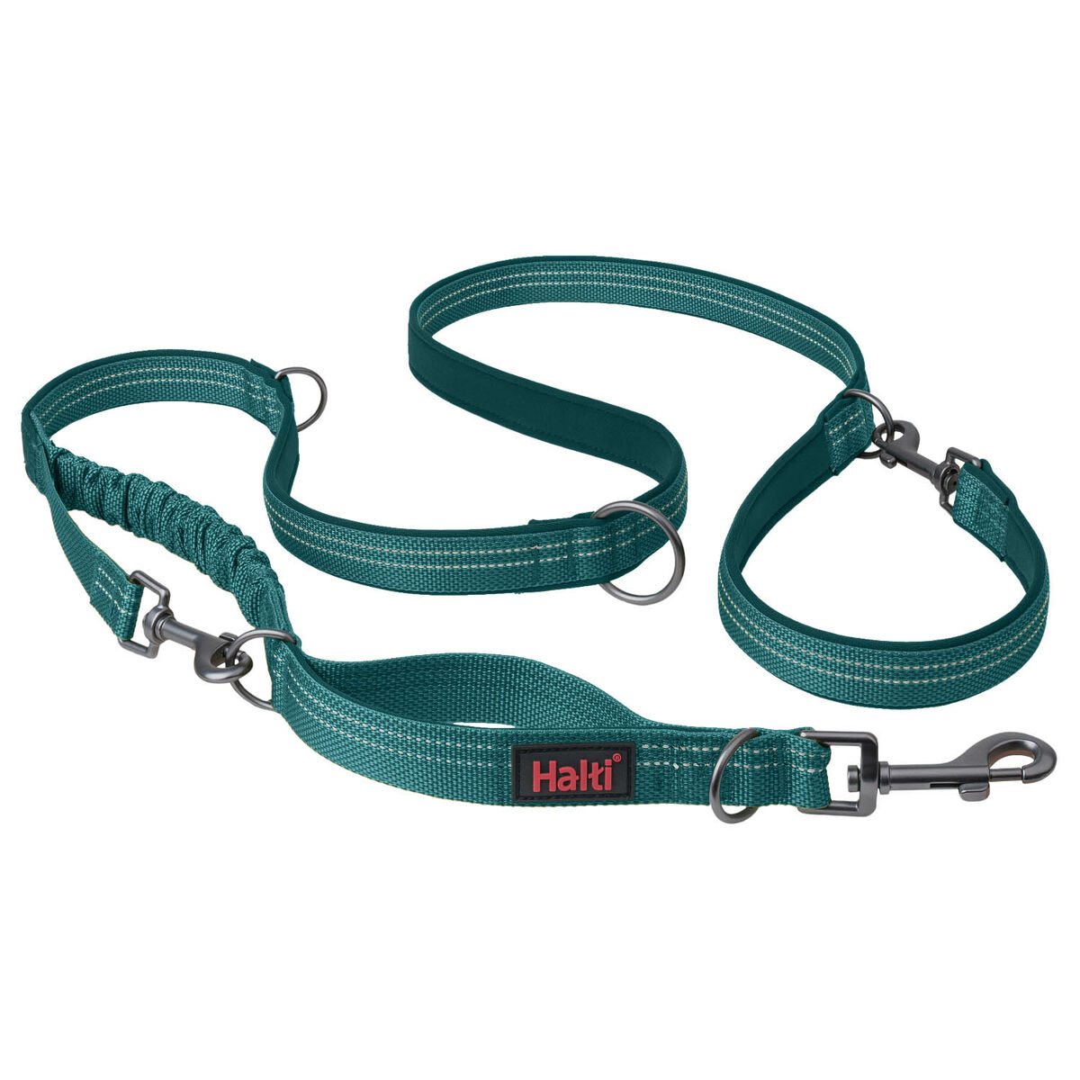 Dog Lead Company of Animals Turquoise L Dog Lead Company of Animals Turquoise L