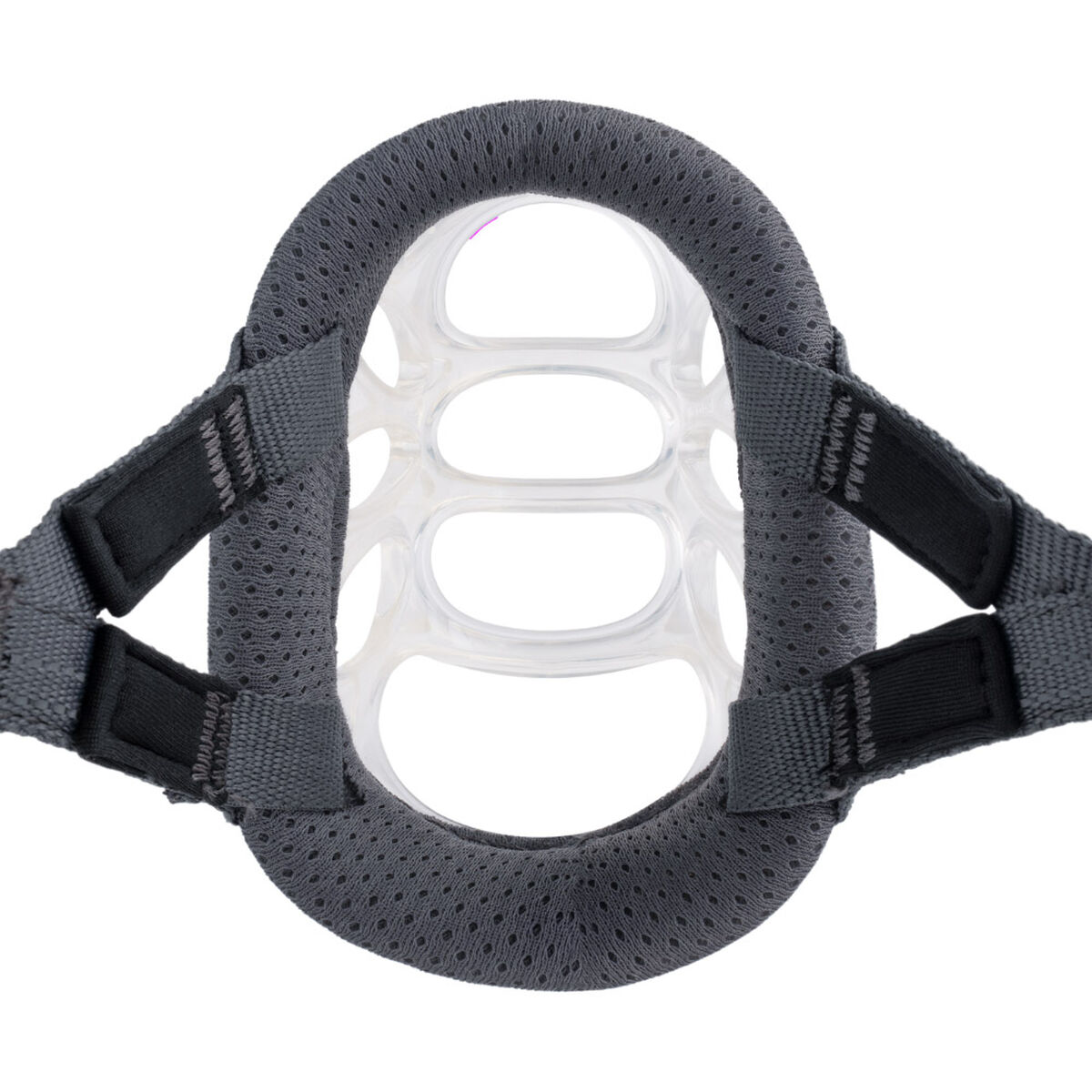 Muzzle Company of Animals Transparent 3