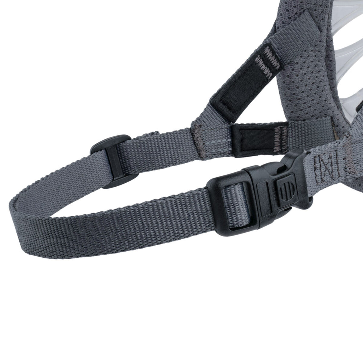 Muzzle Company of Animals Transparent 3