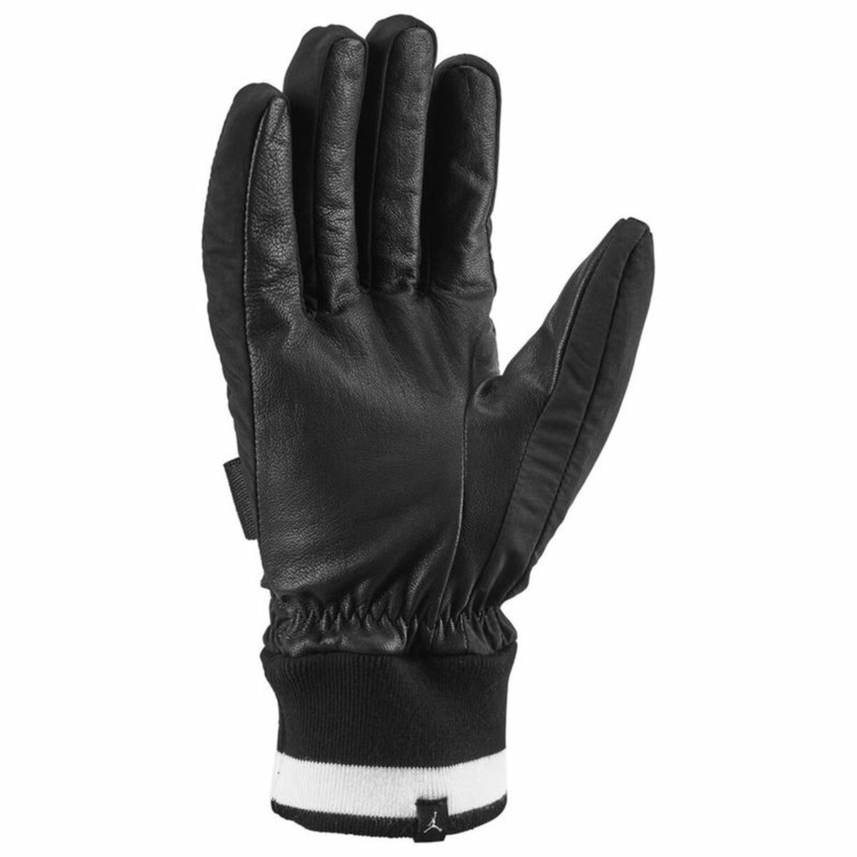 Ski gloves Jordan TG Black