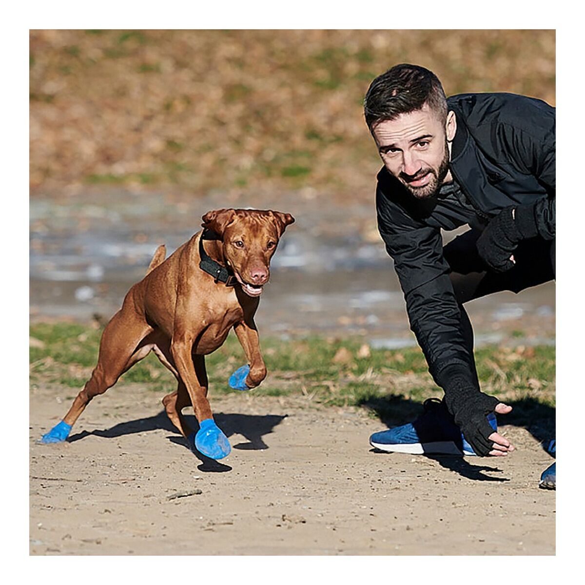 Boots Pawz Dog 12 Units Size XL Green