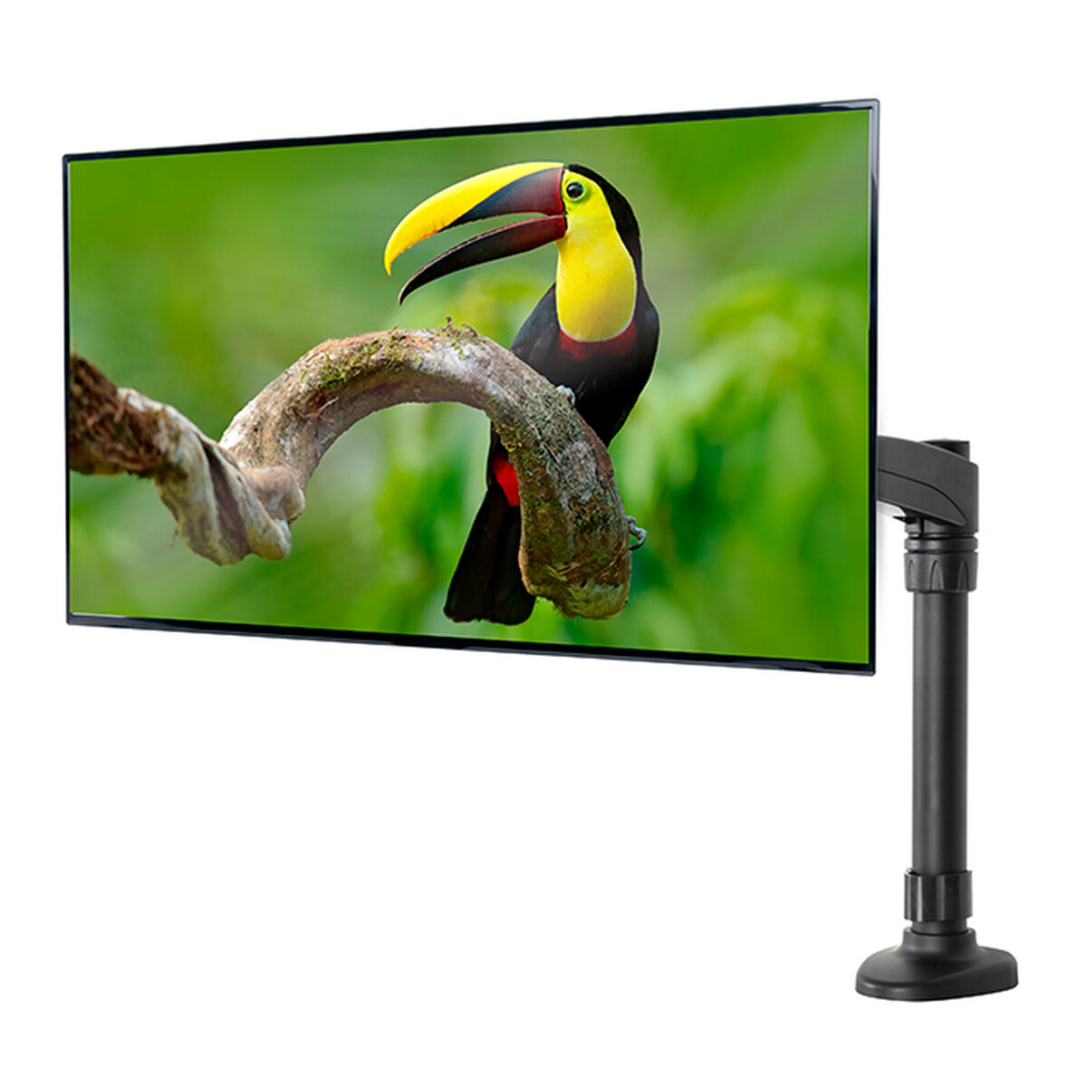 Screen Table Support B-Tech BT7373/B 28″ 10″
