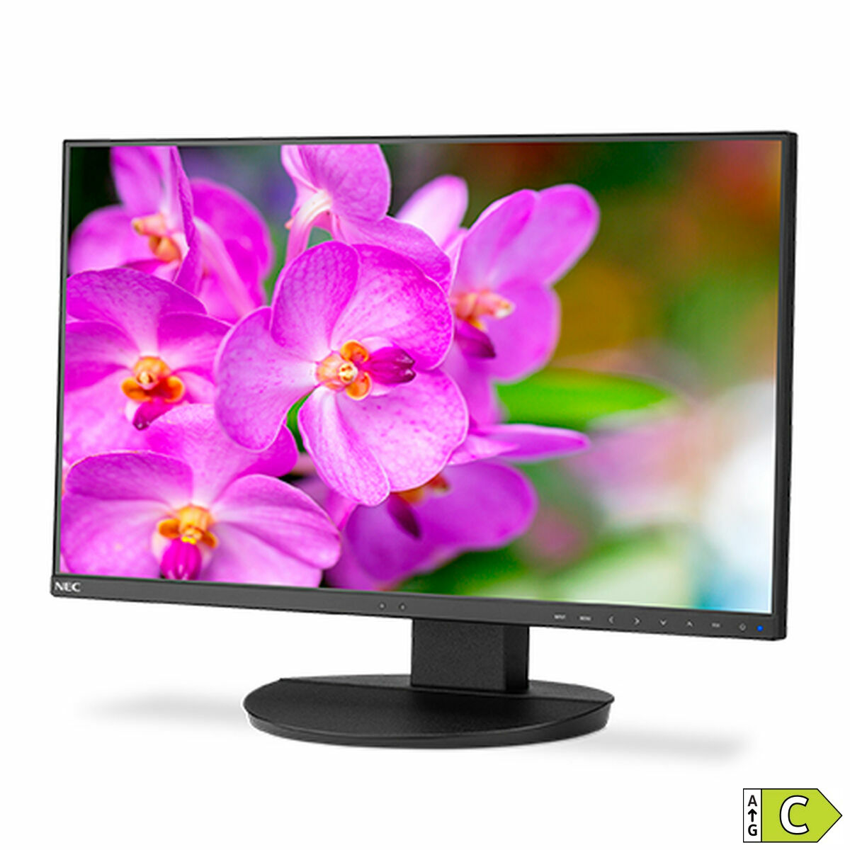 Monitor NEC EA241F IPS LED Full HD 24″ 1920 x 1080 px