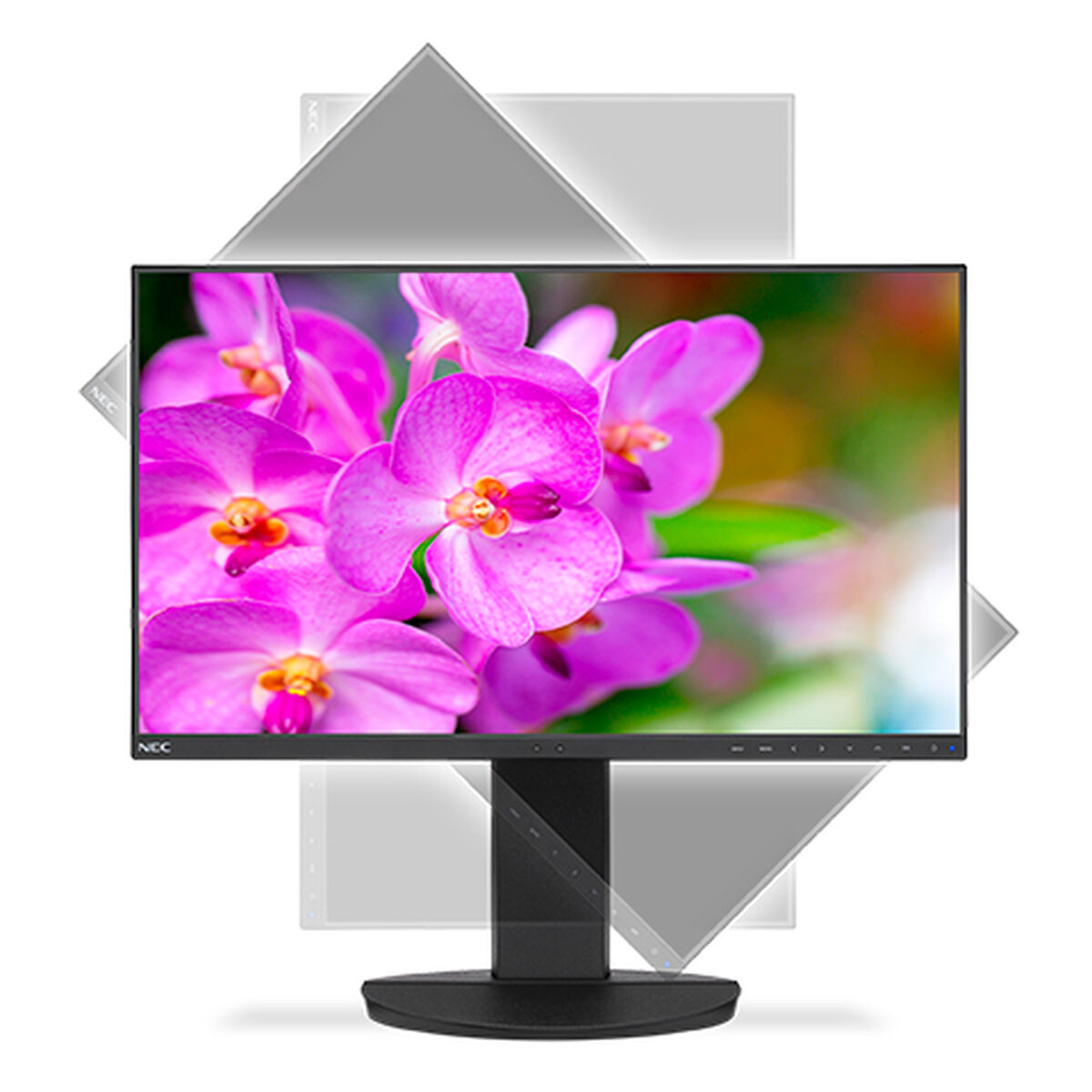 Monitor NEC EA241F IPS LED Full HD 24″ 1920 x 1080 px