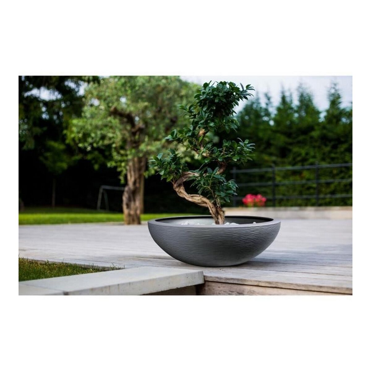 Plant pot EDA Graphit Washbasin Grey Dark grey ( 59 x 21 cm)