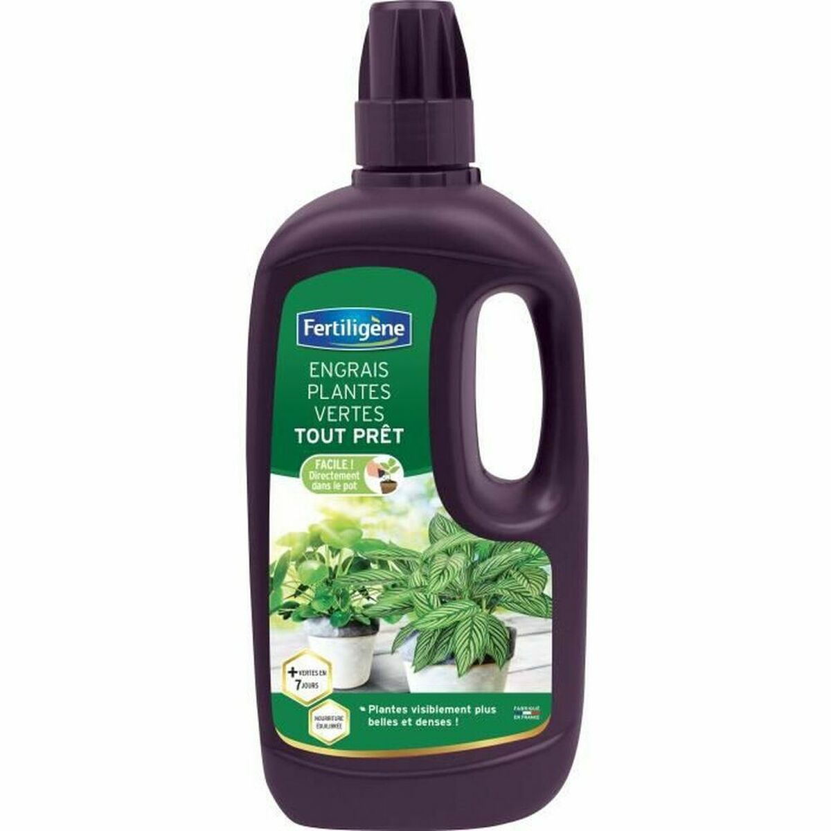 Organic fertiliser Fertiligène Green Plant 1 L Organic fertiliser Fertiligène Green Plant 1 L