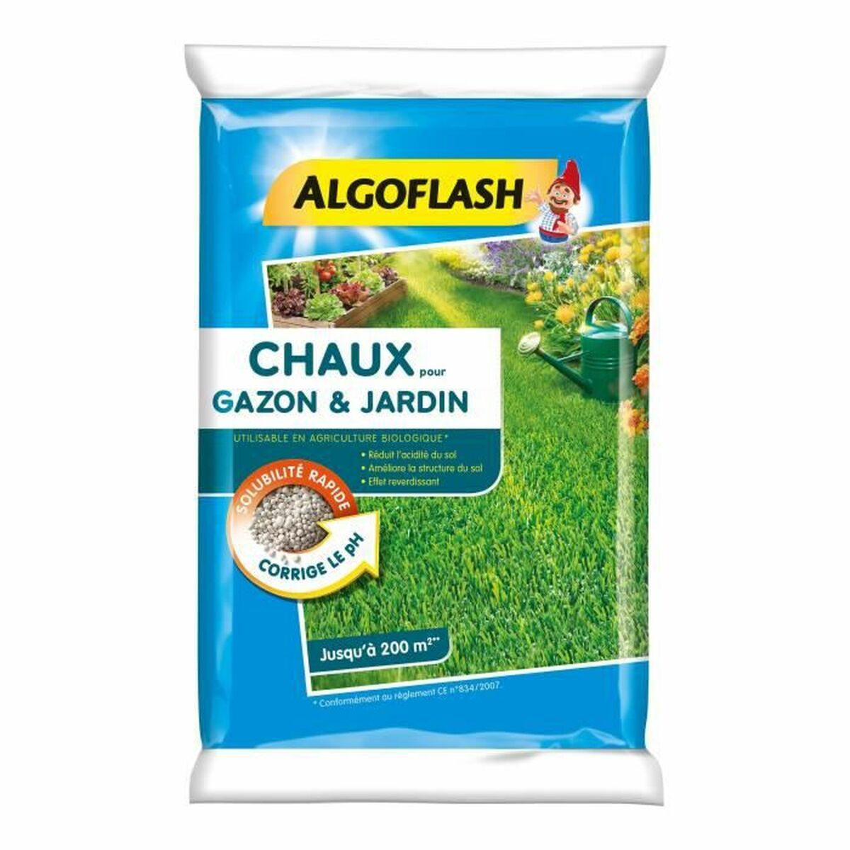 Seeds Algoflash Achau10 Grass 10 kg Seeds Algoflash Achau10 Grass 10 kg
