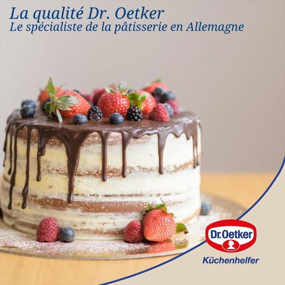 Springform Pan Dr. Oetker