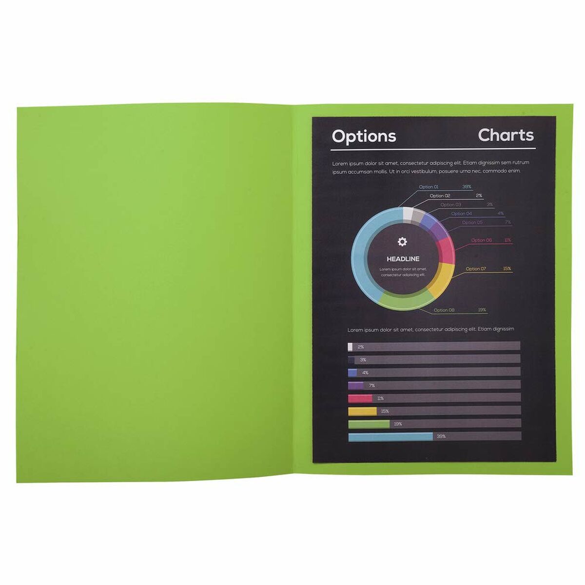 Subfolder Exacompta Rock’s Mint A4 100 Pieces