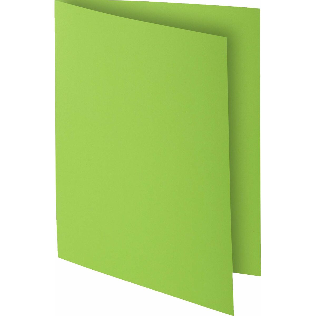 Subfolder Exacompta Rock’s Mint A4 100 Pieces