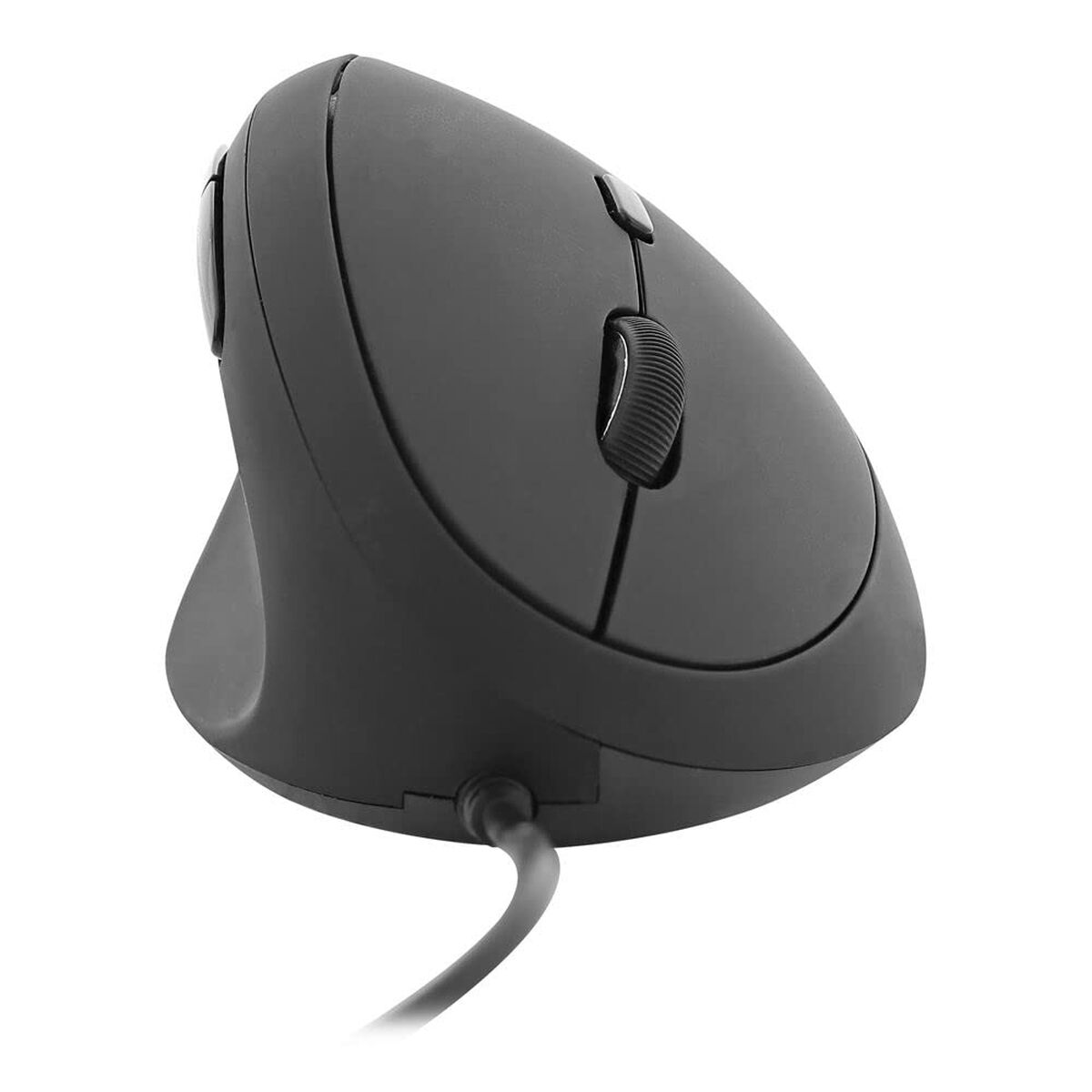 Mouse T’NB LEFTY