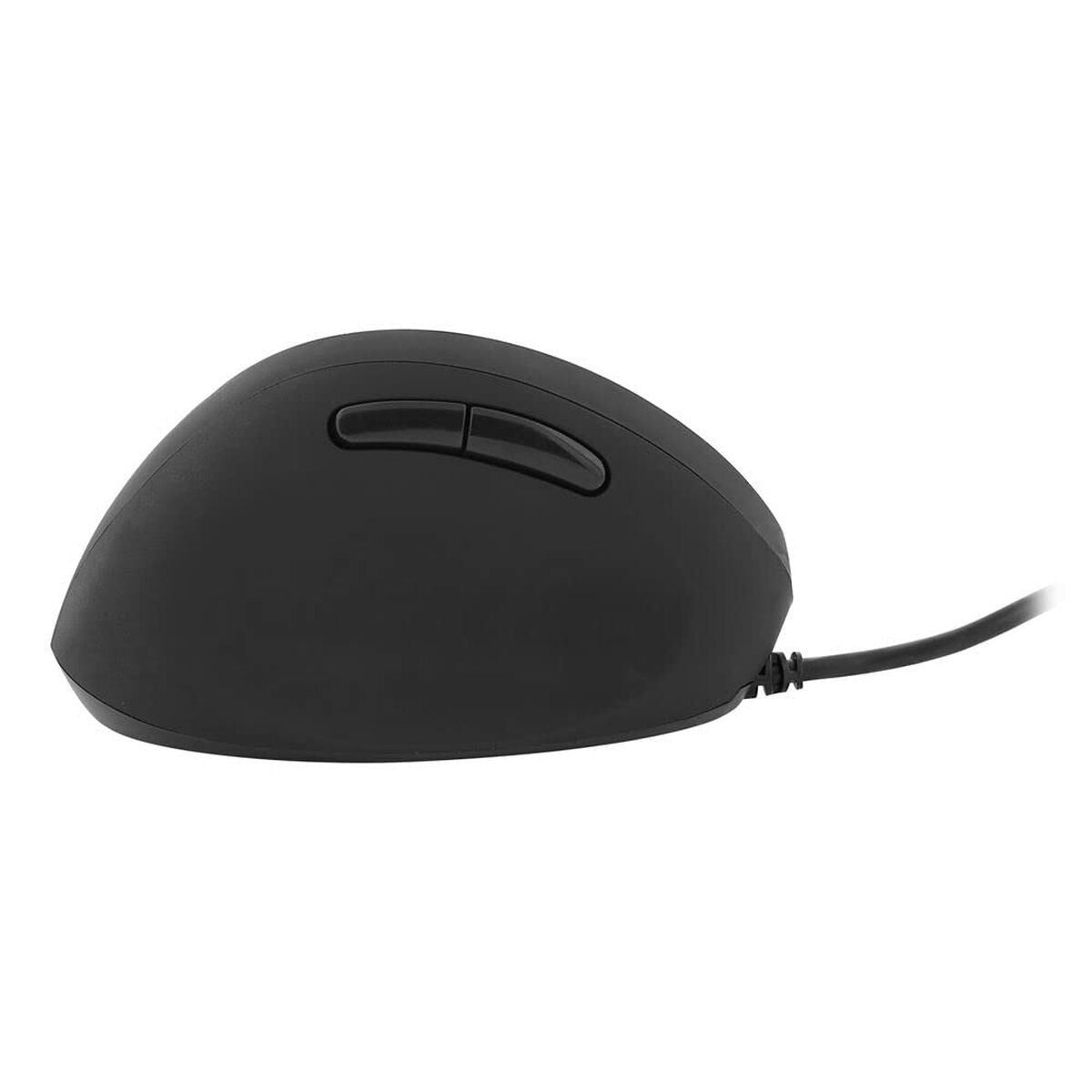 Mouse T’NB LEFTY