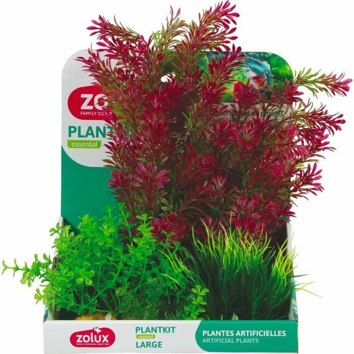 Decorative Plant Zolux Decorative Plant Zolux