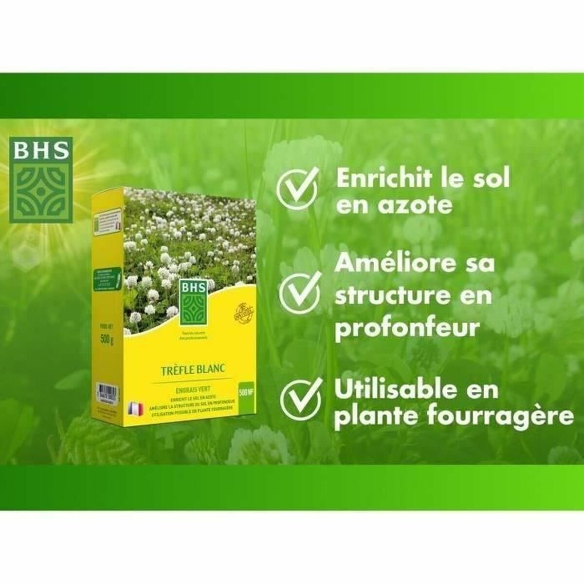 Seeds BHS Trfle Blanc 500 g