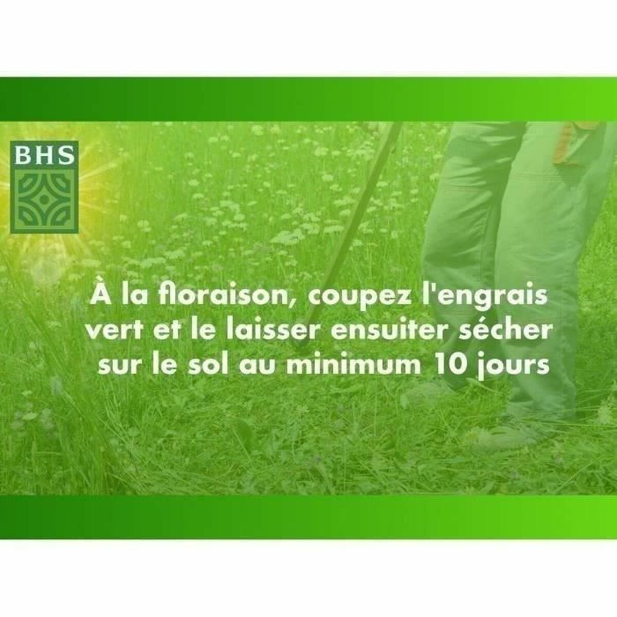 Seeds BHS Trfle Blanc 500 g