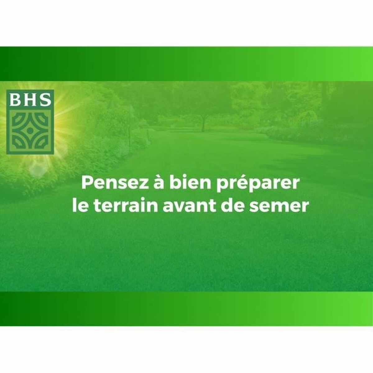 Seeds BHS Phaclie 500 g