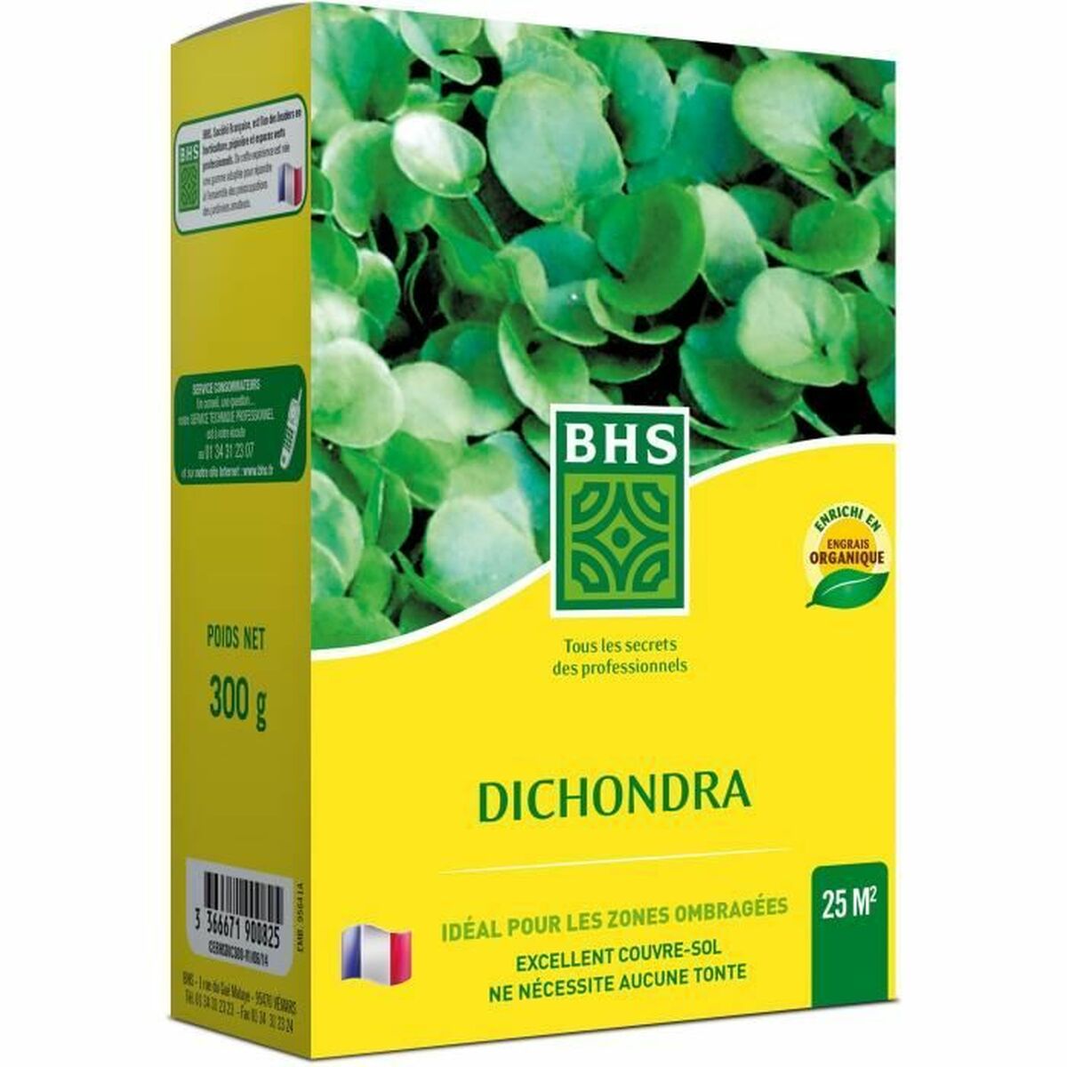 Seeds BHS Dichondra Seeds BHS Dichondra