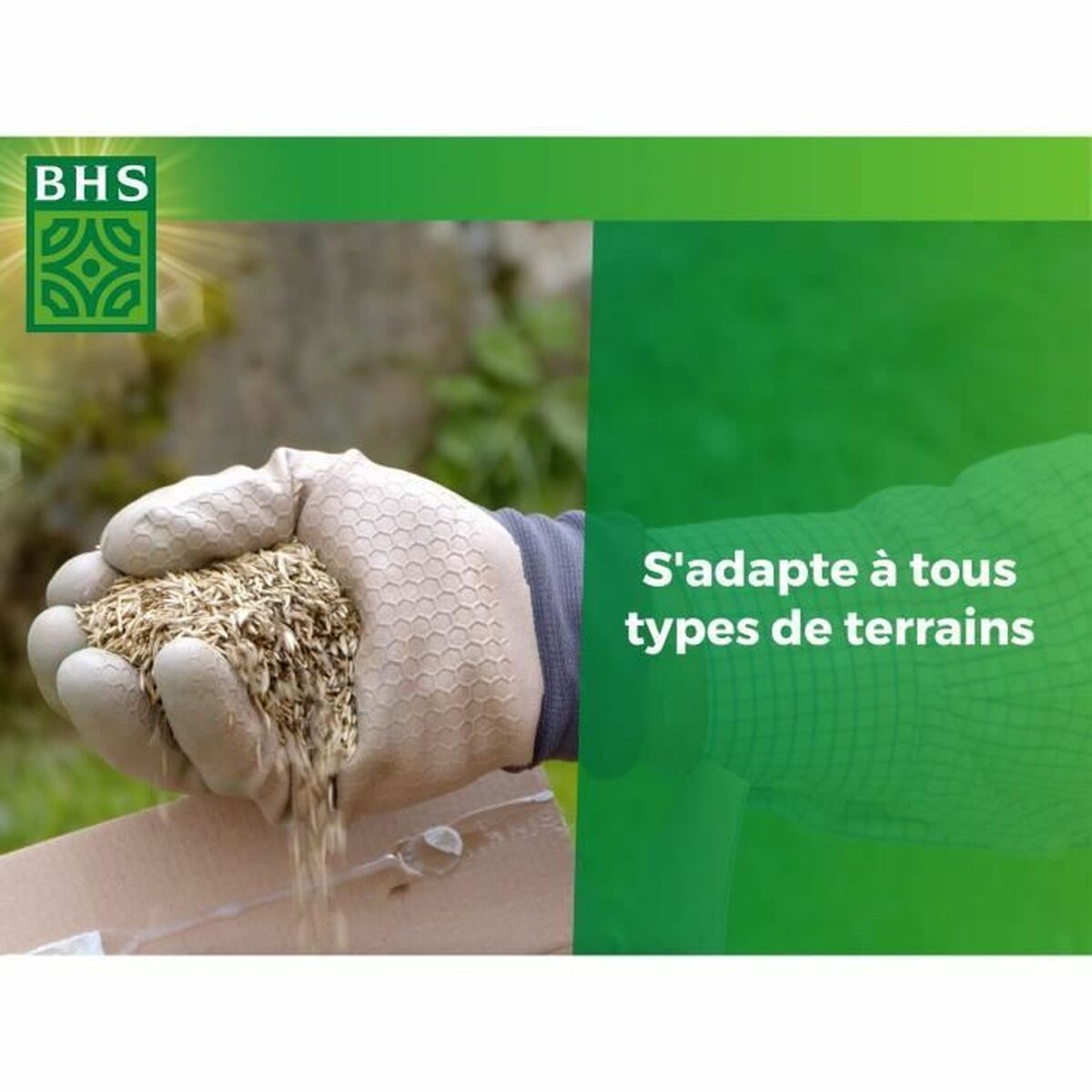 Seeds BHS 20 kg
