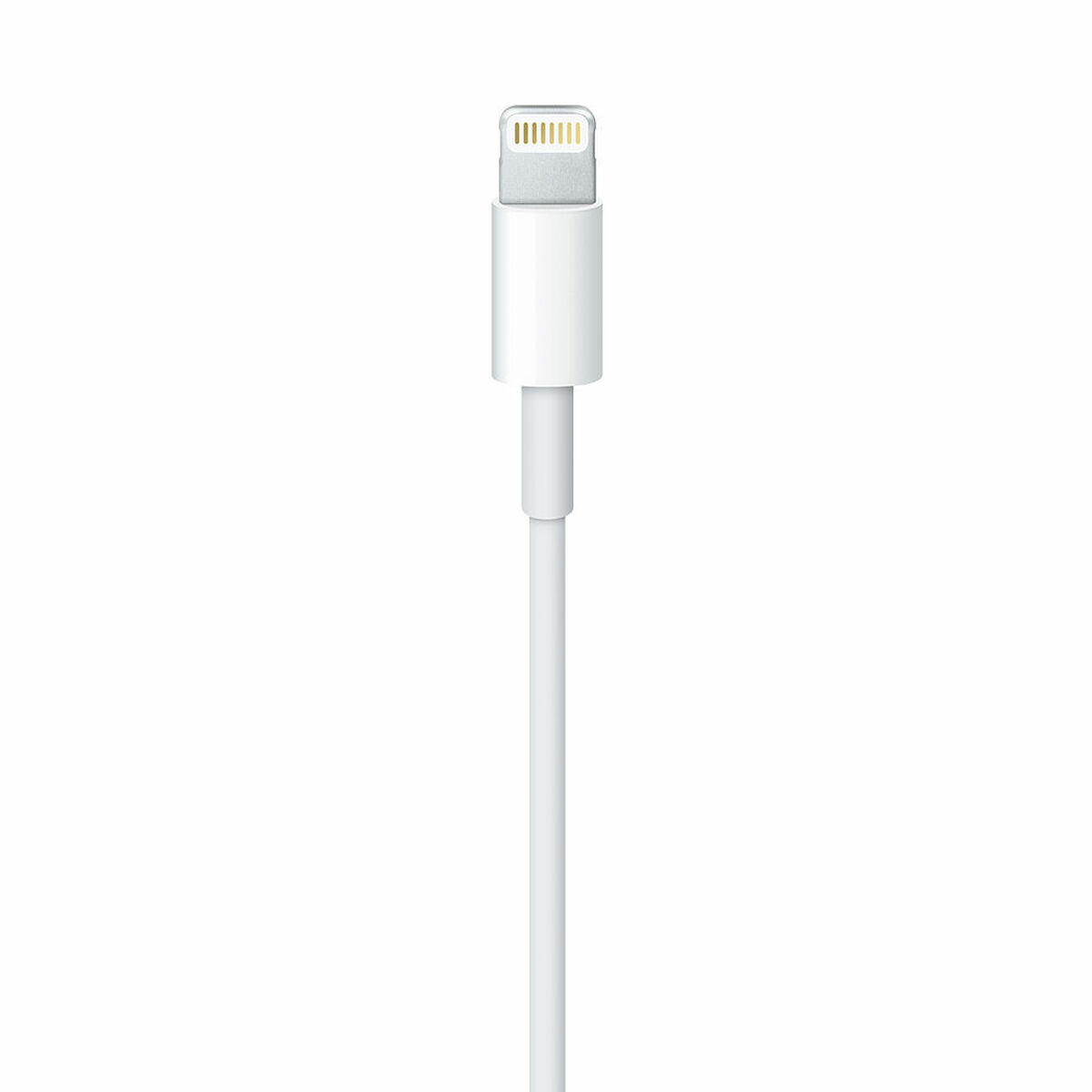 USB to Lightning Cable Apple MXLY2ZM/A White 1 m (1 Unit)