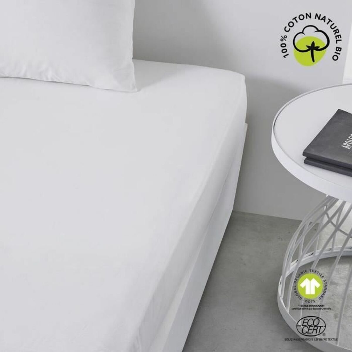 Fitted bottom sheet TODAY White 180 x 200 cm