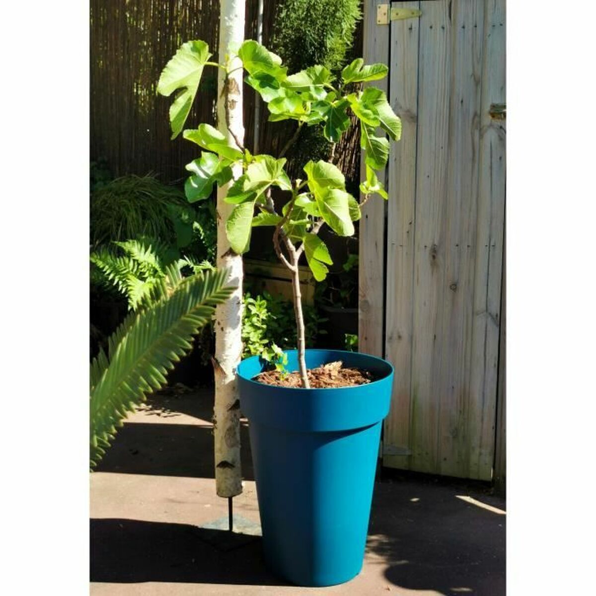 Plant pot Riss 53 cm Blue Plastic Plant pot Riss 53 cm Blue Plastic