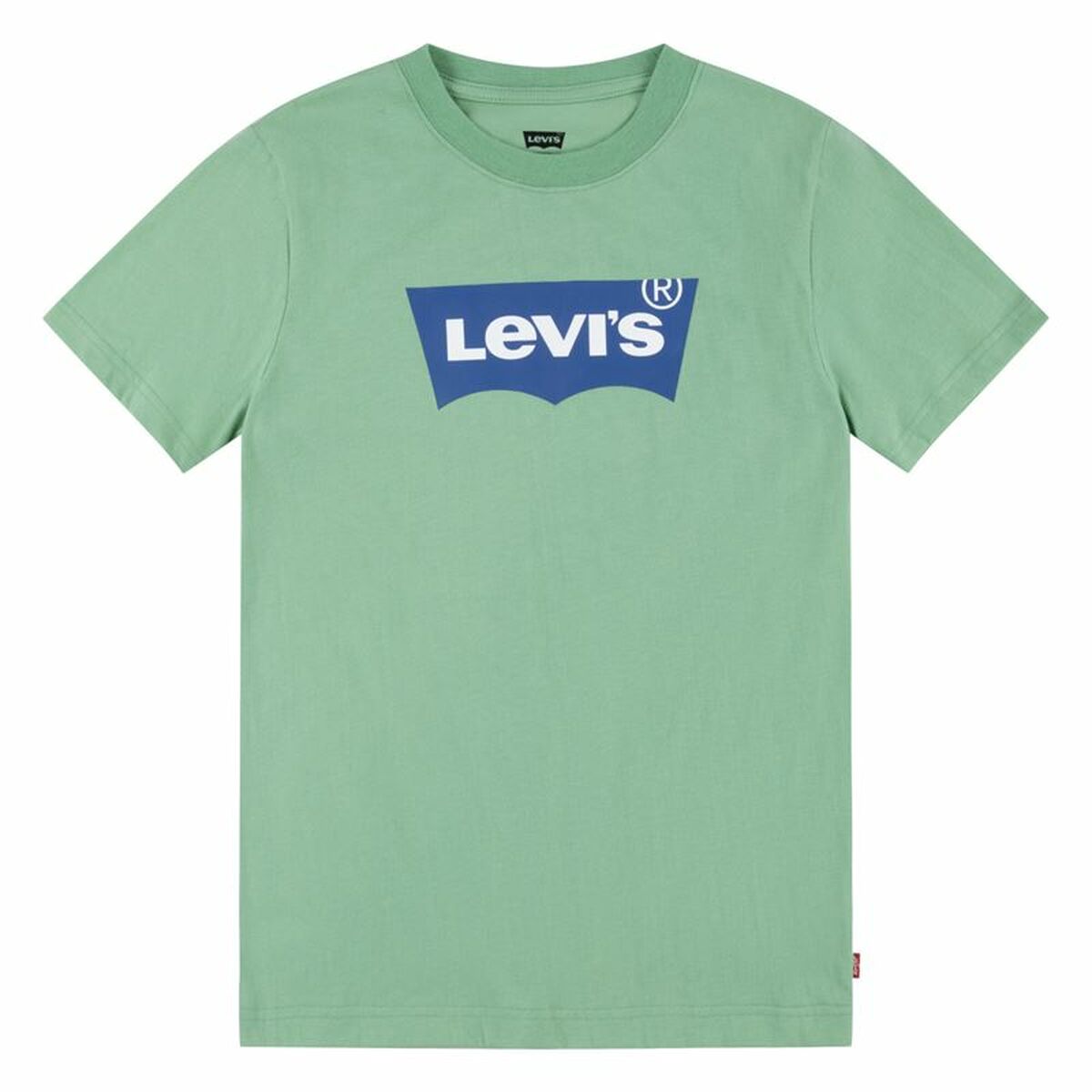 T-shirt Levi’s Batwing Meadow  Aquamarine
