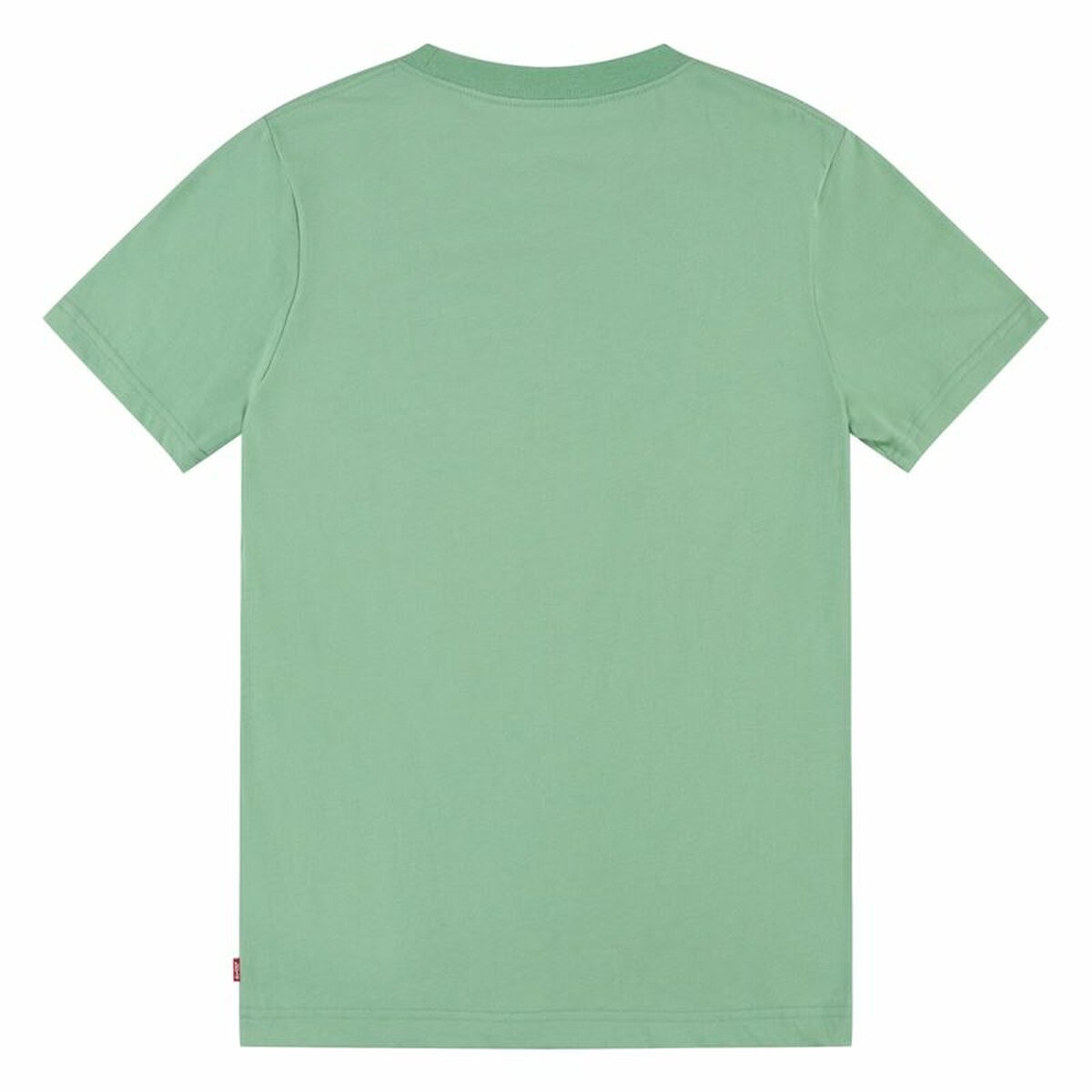 T-shirt Levi’s Batwing Meadow  Aquamarine