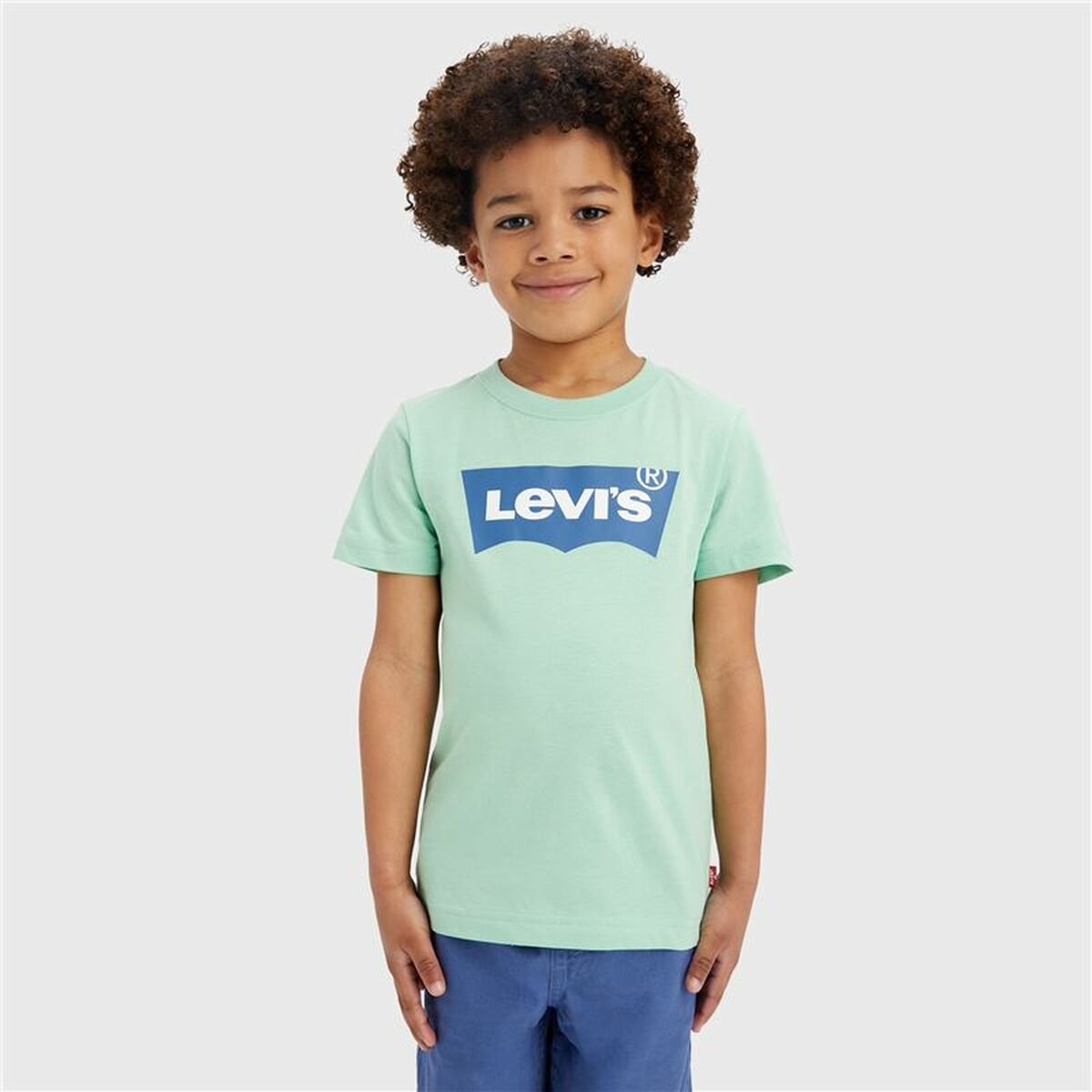 T-shirt Levi’s Batwing Meadow  Aquamarine