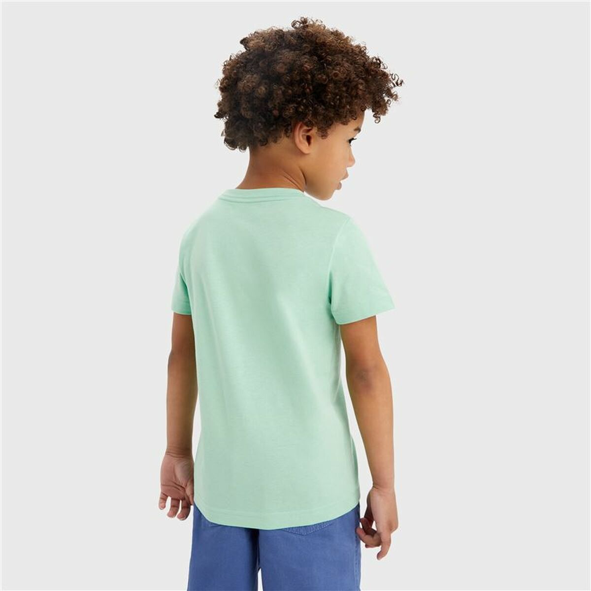 T-shirt Levi’s Batwing Meadow  Aquamarine
