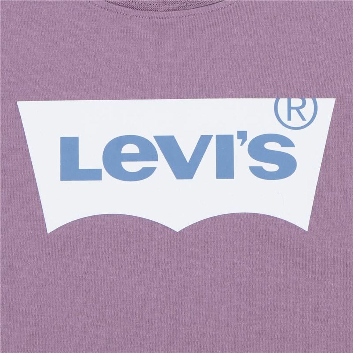 Child’s Short Sleeve T-Shirt Levi’s Dusky
