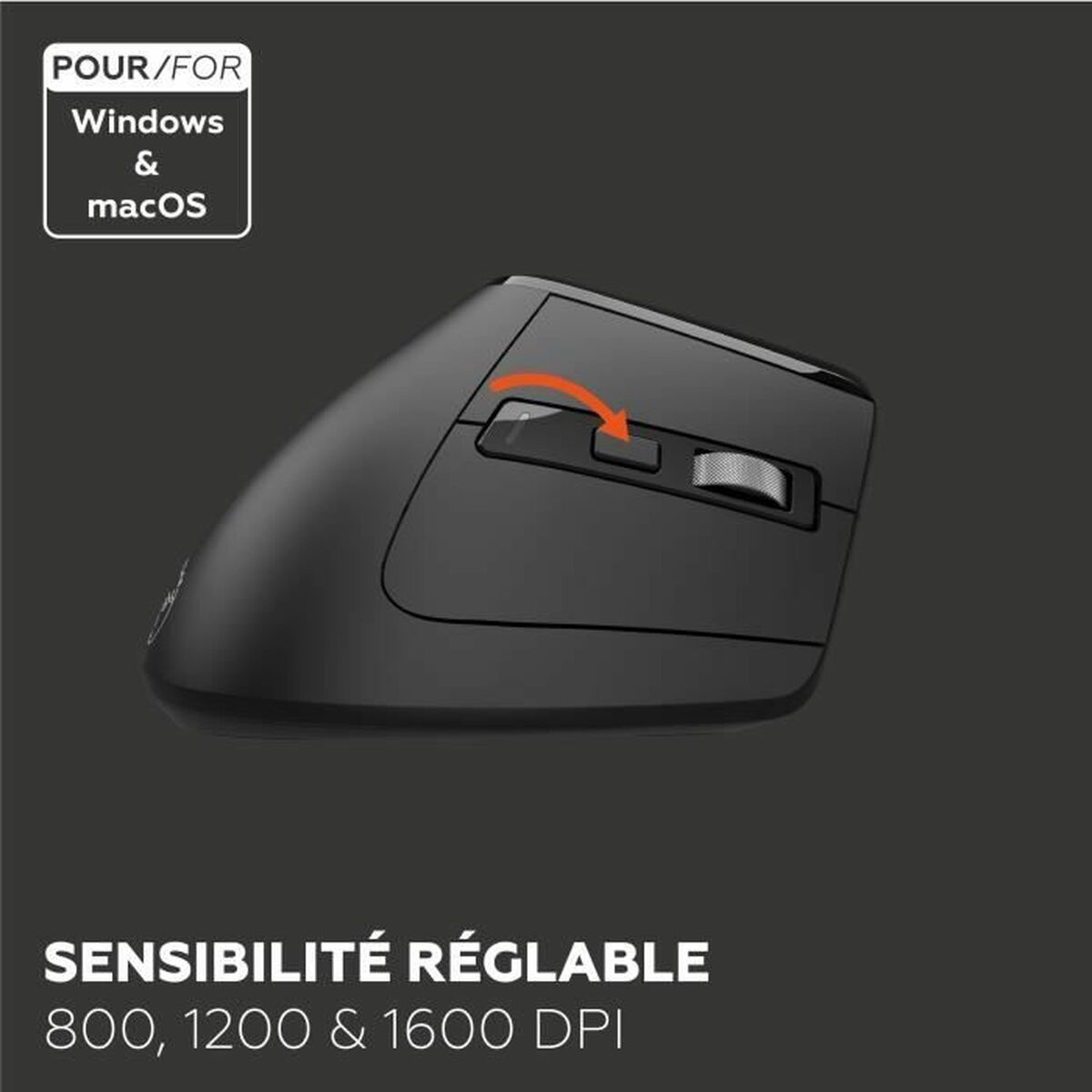 Mouse Mobility Lab