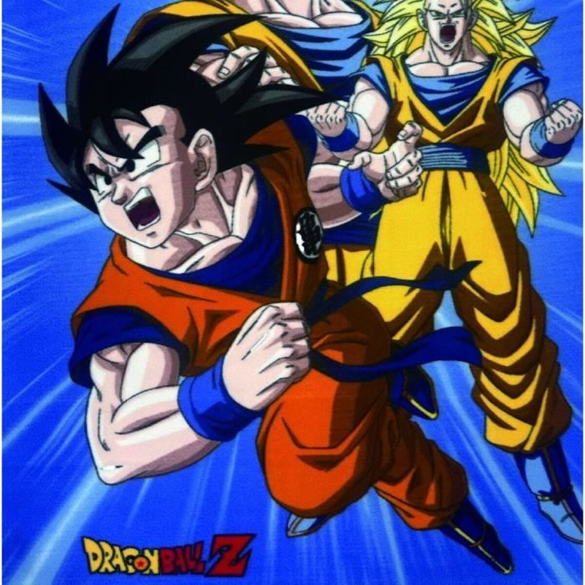 Blanket Dragon Ball Multicolour animals