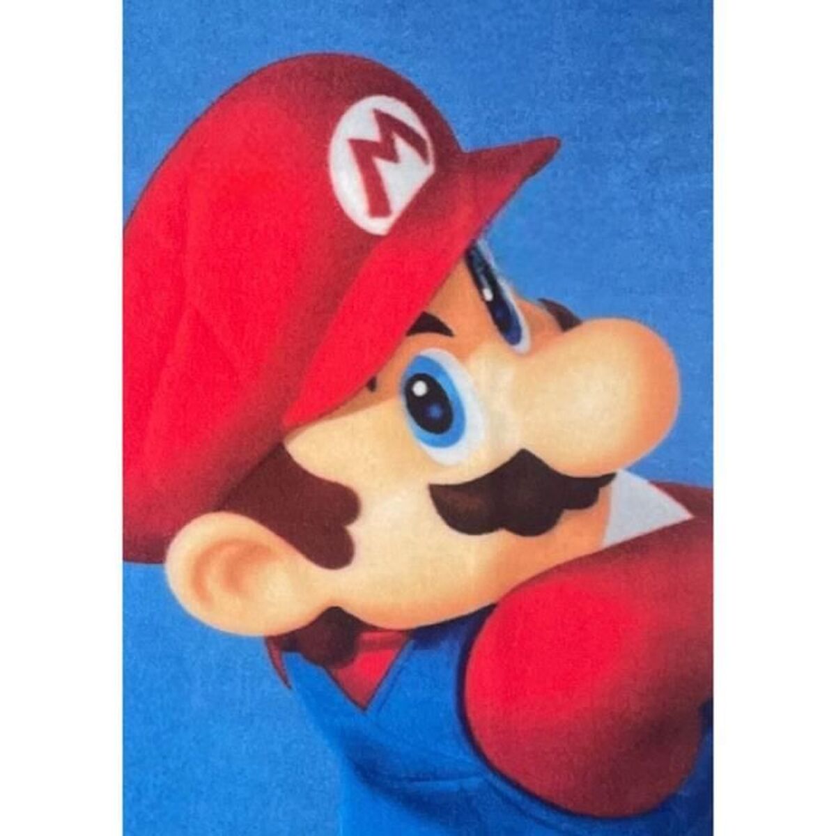 Blanket Mario Bros 25 x 7 x 13 cm Multicolour animals