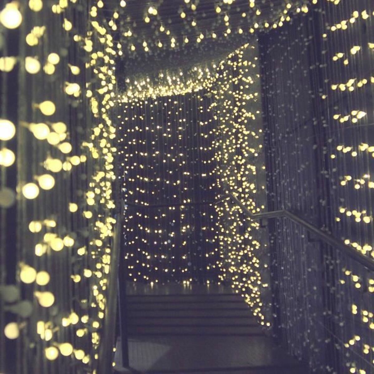 Wreath of LED Lights Lumi Garden BILLY SPHERICAL 60 LEDS Black noir 1 W