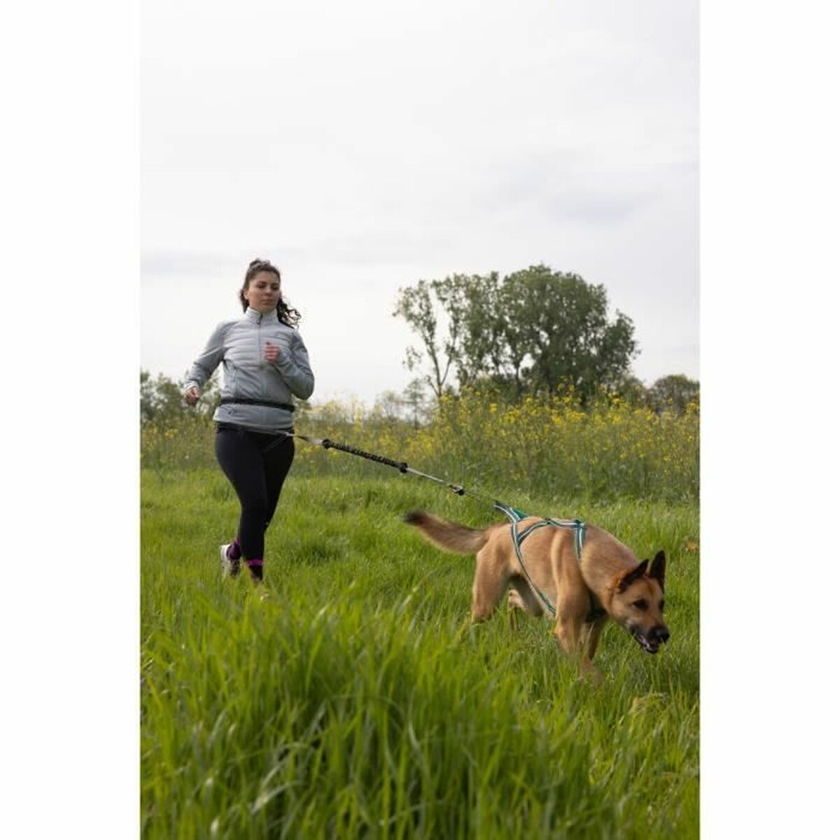 Dog Lead Black XL