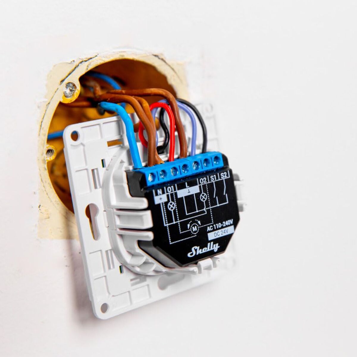 Light interrupter Shelly WS1 WHITE White