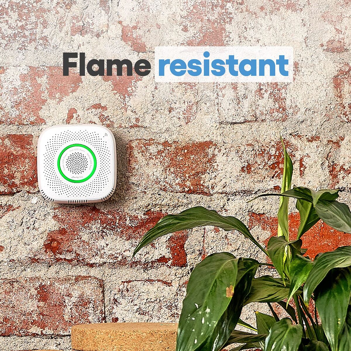 Surveillance Camcorder Shelly GAS CNG