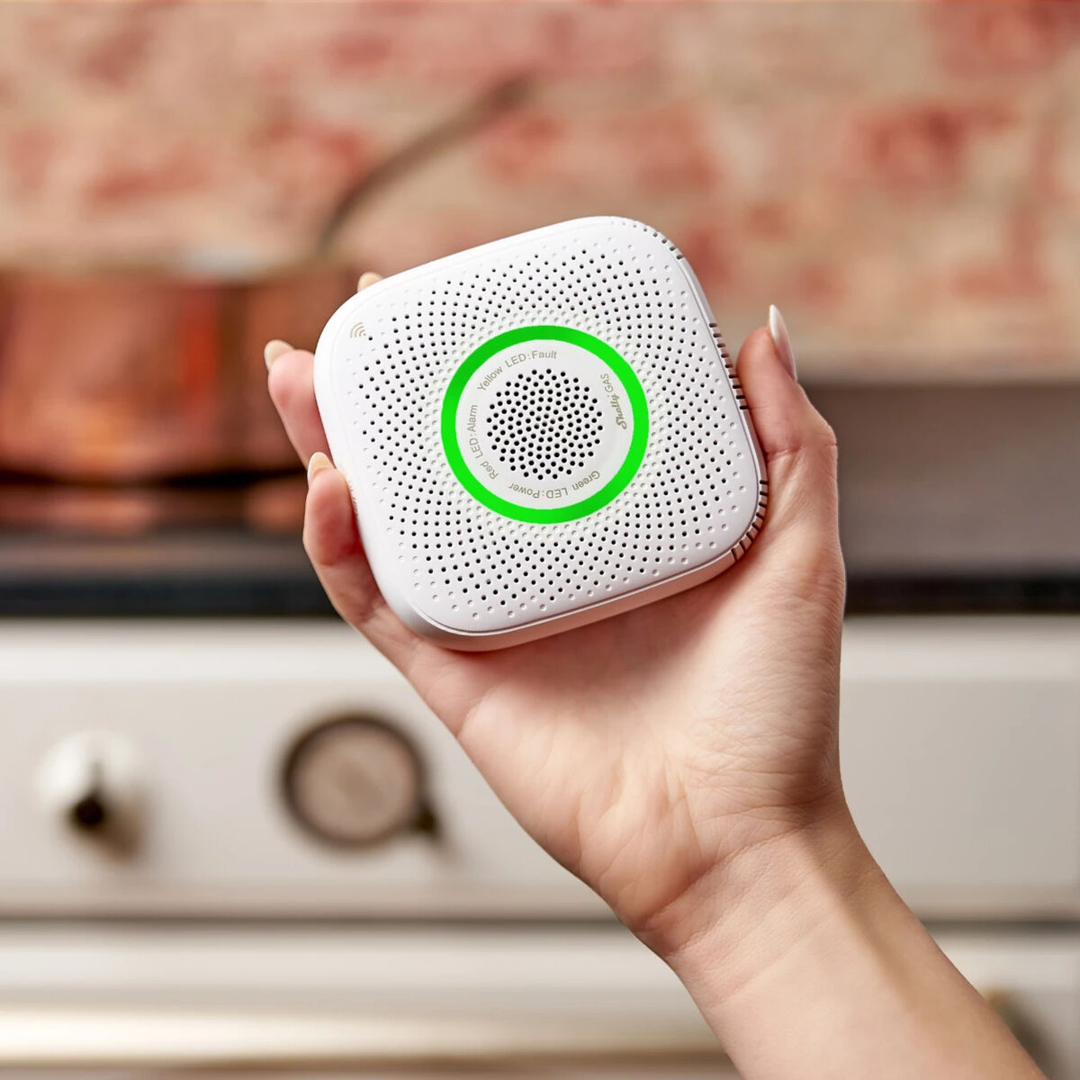 Surveillance Camcorder Shelly GAS LPG