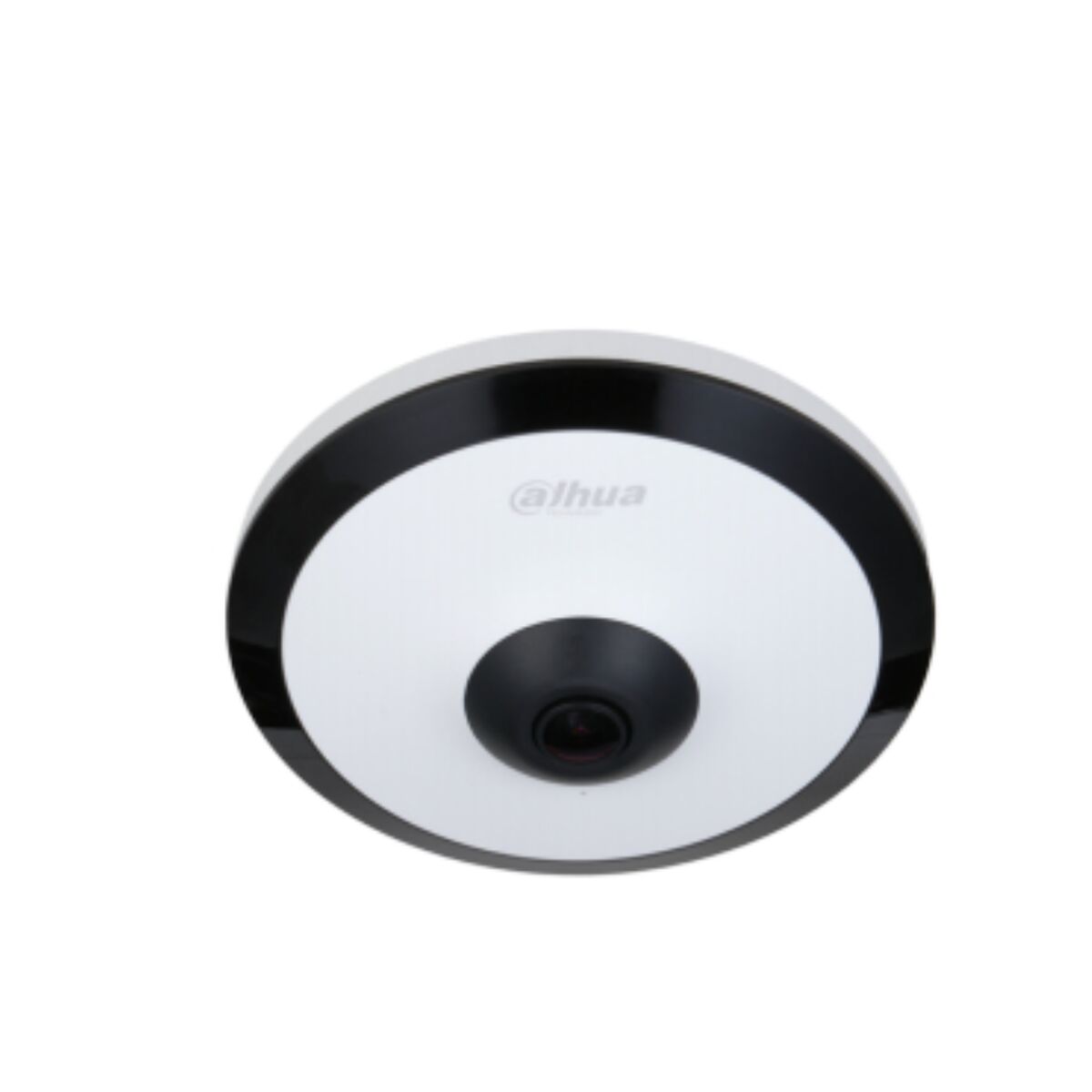 IP camera Dahua 1.0.01.04.33906 IP camera Dahua 1.0.01.04.33906