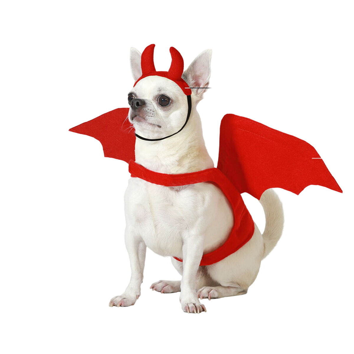 Dog Costume Male Demon Size M Dog Costume Male Demon Size M