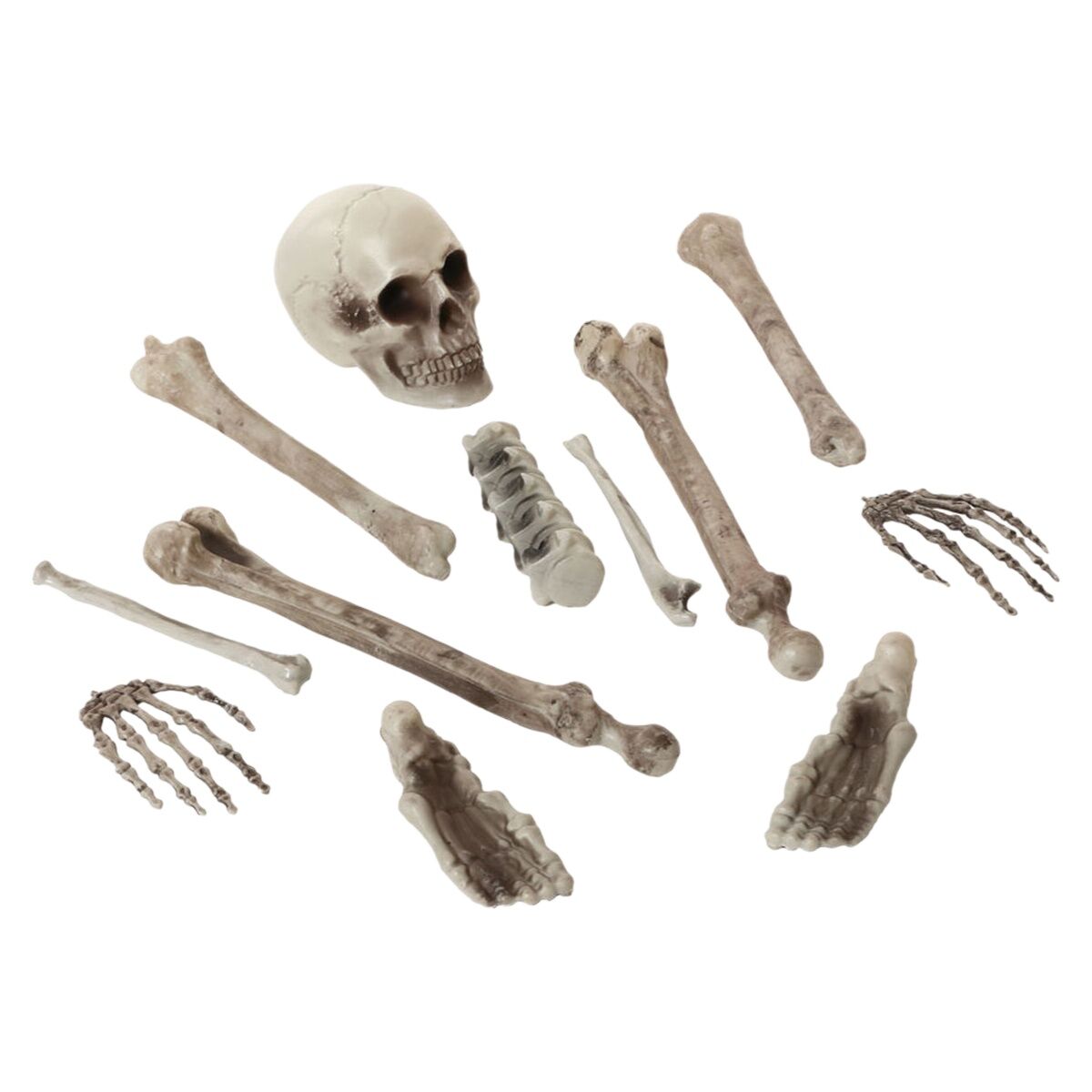 Halloween Decorations Skeleton White Halloween Decorations Skeleton White