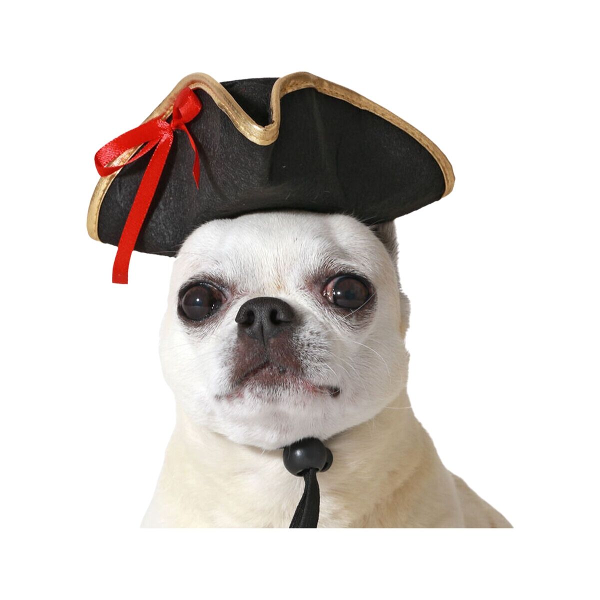 Dog Costume Black Hat