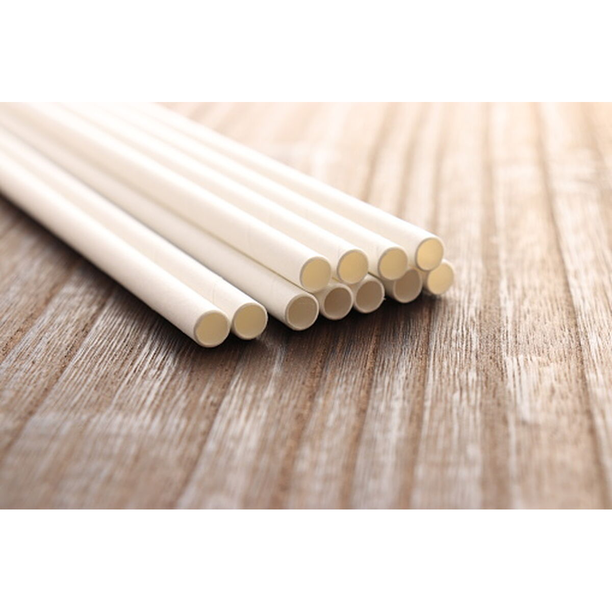 Reusable Drinking Straw Algon 19,7 x 0,6 cm 25 Pieces 24 Units