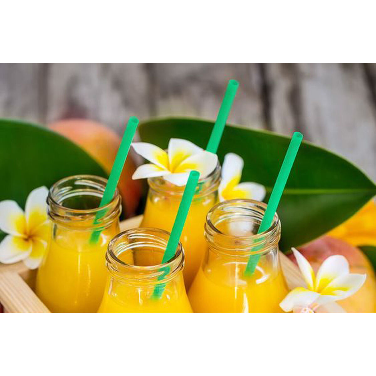 Reusable Drinking Straw Algon Plastic 19,5 cm 6 mm 30 Pieces 24 Units