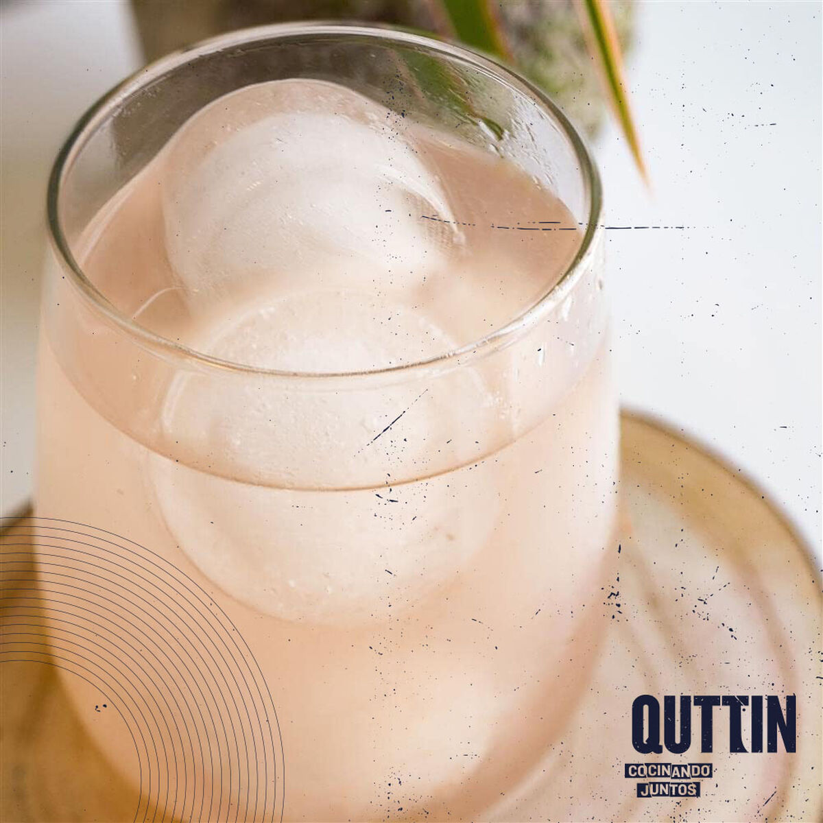 Ice Cube Mould Quttin 36 x 13 x 3,5 cm (18 Units)
