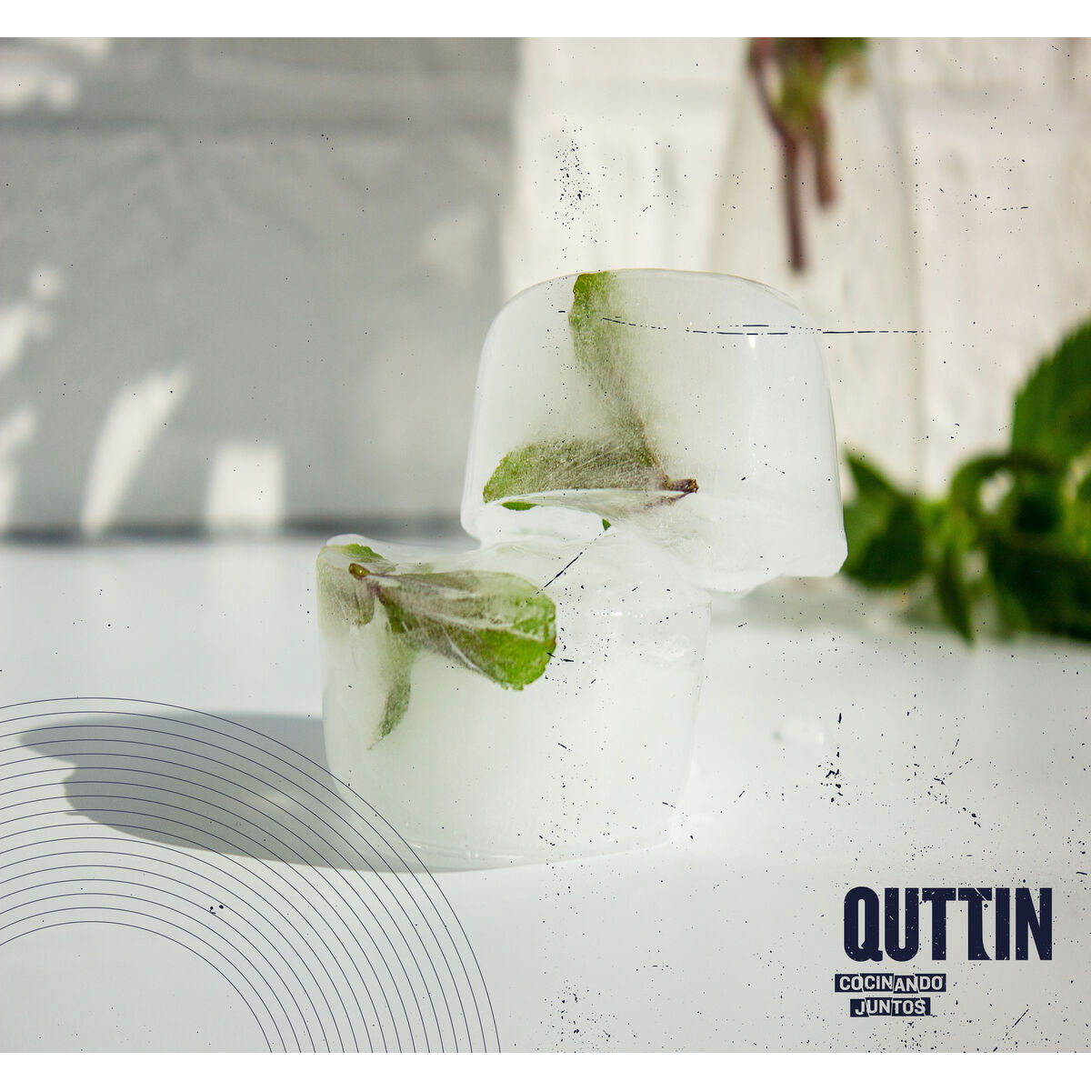Ice Cube Mould Quttin 36 x 13 x 3,5 cm (18 Units)