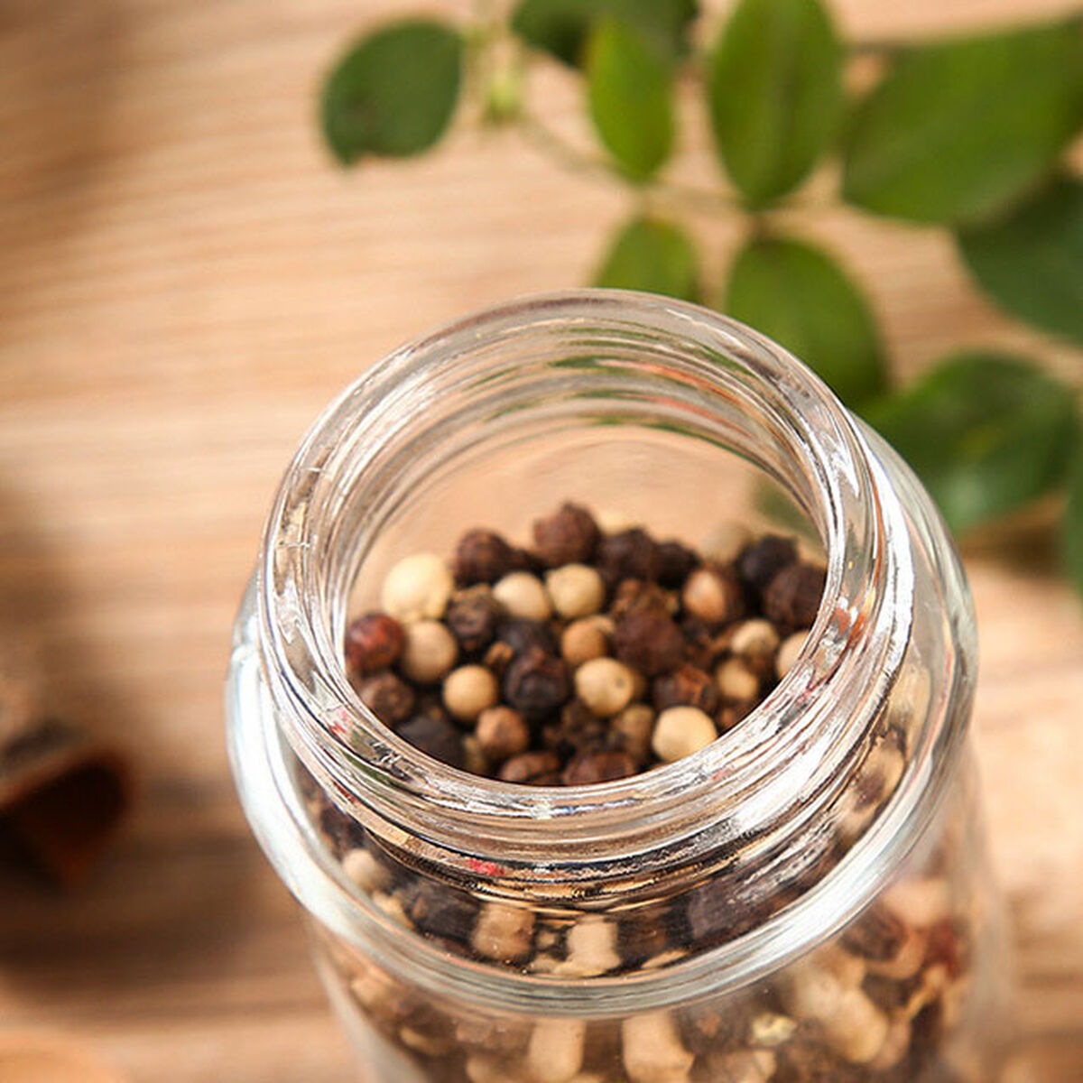 Spice Rack Quttin 170 ml 5 x 5 x 14 cm (24 Units)