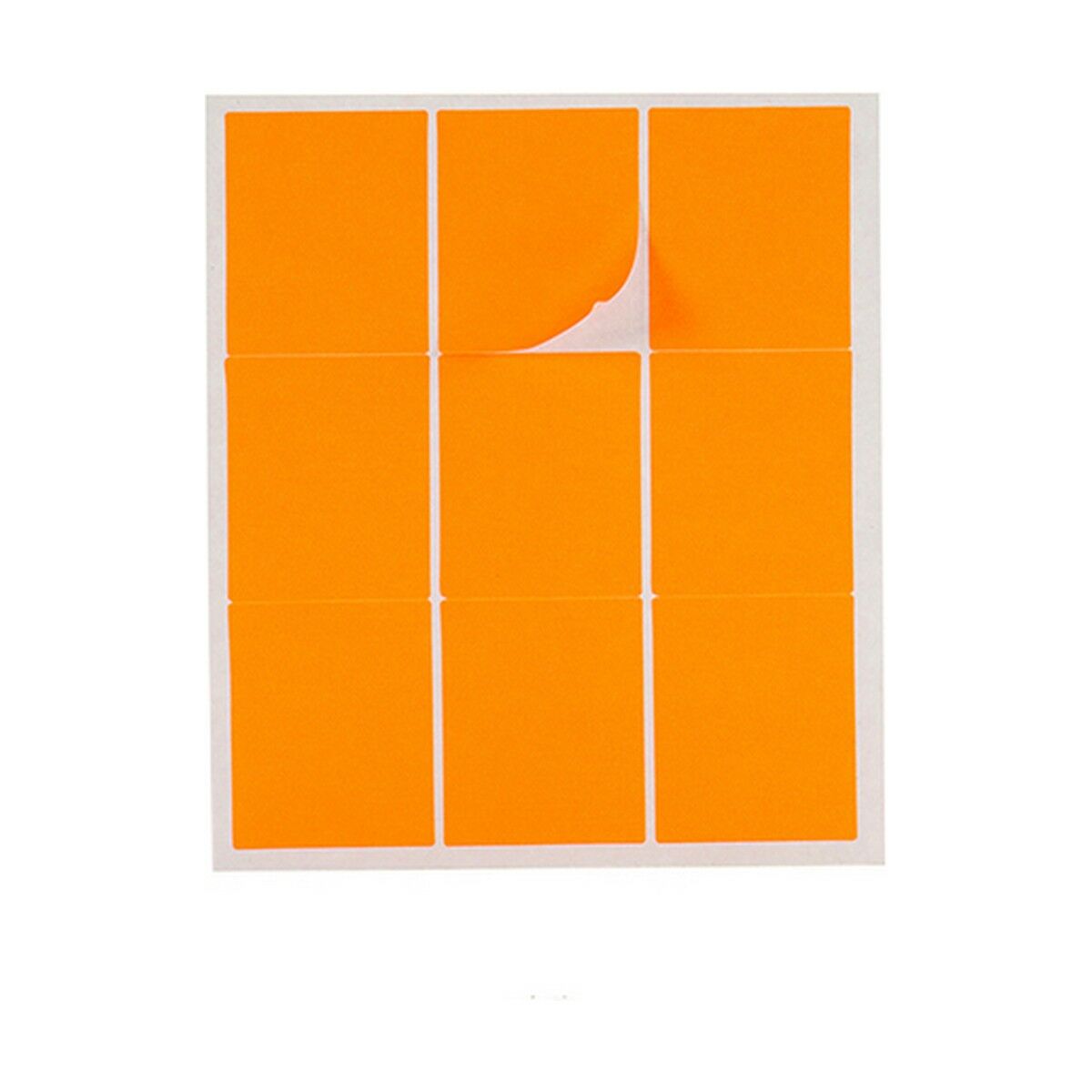 Adhesive labels Pincello 1711095 43 x 52 cm Rectangular (12 Units)
